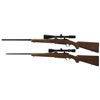 Image 2 : Two Scoped Ruger M77 Bolt Action Rifles -A) Ruger M77 Varmint Rifle