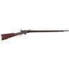 Image 1 : Civil War Spencer Military Rifle