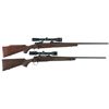 Image 1 : Two Sporting Bolt Action Rifles with Scopes -A) Winchester Model 70 XTR Rifle