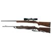Image 2 : Two Bolt Action Rifles -A) Ruger M77 Rifle with Scope