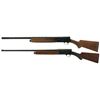 Image 2 : Two Browning Auto 5 Semi-Automatic Shotguns -A) Browning Auto 5 Magnum Shotgun