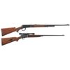 Image 1 : Collector's Lot of Two Winchester Sporting Rifles -A) Winchester Model 64 Deluxe Lever Action Rifle