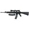 Image 1 : Walther/Colt M16 Semi-Automatic Rifle with Scope and Extra Magazine
