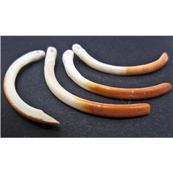 LOT OF 4 PORCUPINE TEETH - TAXIDERMY - JEWELRY