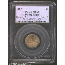 1857 1C MS65 PCGS. The obverse eagle exhibits razor sharp definition over all features. There are so
