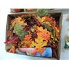 Image 3 : HUGE SELECTION OF FALL DECORATIVE ITEMS, CHRISTMAS