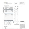 Image 1 : G.I.A Cert 1.02ct Cushion Cut Diamond Loose Stone