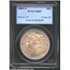 Image 1 : 1883-S S$1 MS63 PCGS. Dusky and original apricot patina. A lustrous and mildly prooflike example tha