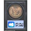 Image 2 : 1884 S$1 MS66 PCGS. The golden-brown and rose-violet patina is gorgeous. Lustrous and well struck wi