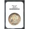 Image 1 : 1899-S S$1 MS65 NGC. The borders have brightly speckled apricot patina, while silver-gray color visi
