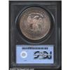 Image 2 : 1876-CC T$1 MS62 PCGS. Type I Obverse / Type II Reverse. Tall CC. This coin was previously offered a