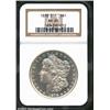 Image 1 : 1878 8TF S$1 MS65 NGC. Both sides are die doubled, which is most noticeable on LIBERTY and ONE. A br