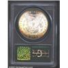 Image 2 : 1882-S S$1 MS66 PCGS. The obverse has wonderfully deep waves of sea-green and violet patina. Lustrou