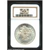 1885-CC S$1 MS64 NGC. This richly frosted example reveals modest brightness in the fields. There are