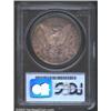 Image 2 : 1892-S S$1 MS63 PCGS. The 1892-S is one of those issues that makes collecting Morgan Dollars an intr