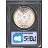 Image 2 : 1893 S$1 MS64 PCGS. The borders have golden-brown color. A lustrous near-Gem that has a reasonable s