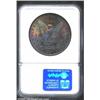 Image 2 : 1896 S$1 MS66 NGC. Lustrous surfaces uniformly bathed in iridescent, rainbow toning. The toning is r