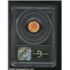 Image 2 : 1889 G$1 MS67 PCGS. The 1889 is a low mintage issue with only 30,729 pieces struck, but it seems to.