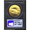 Image 2 : 1907 $20 High Relief, Wire Rim MS62 PCGS. While High Reliefs are an integral part of every Heritage.