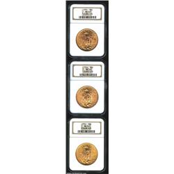 1924 $20 MS63 NGC, three pieces, all are fully struck. 3 coins Important notice: We expect to be auc