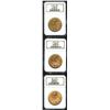 1924 $20 MS63 NGC, three pieces, each of which displays warm orange-gold coloration over frosty text