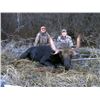 Image 1 : Late Season Moose Hunt with Double Eagle Outfitters
