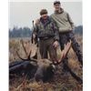 Image 4 : Late Season Moose Hunt with Double Eagle Outfitters