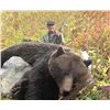 Image 1 : Grizzly Bear Hunt with Fehr Game Outfitters