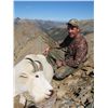 Image 1 : Goat, Black Bear and Wolf Hunt with Finlay River Outfitters