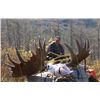 Image 3 : Trophy Moose Hunt with Northwest Big Game Outfitters