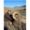Image 1 : BC Resident Full Curl California Bighorn Sheep Hunt with Ambler`s Bighorn Country Guiding