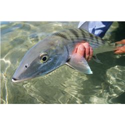 Bahamas Fly Fishing Adventure for 2, Donated by Nervous Waters