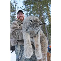 Lynx Hunt with Hounds with Niemeyer Outiftting Ltd