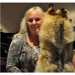 Tanned BC Wolf Hide, Donated by BC Trappers Assoc.