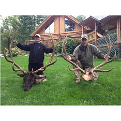 Kootenay Elk Hunt, Donated by Shadow Mountain Outfitters