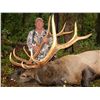 Image 2 : Kootenay Elk Hunt, Donated by Shadow Mountain Outfitters