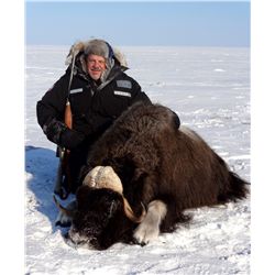 Greenland Muskox Hunt on Victoria Island