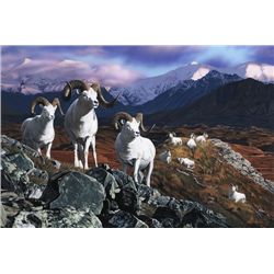 Framed Print – “Last Glance” - Donated by Joshua Spies Art