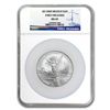 2013 2 oz Silver Libertad MS-69 NGC (ER) - Registry Set