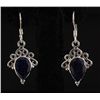 Image 1 : SAPPHIRE CORRUNDUM 20.85CTW SILVER HOOK EARRING