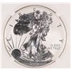 Image 2 : 2013-W AMERICAN SILVER EAGLE REVERSE PROOF EARLY RELEASE NGC PF-69