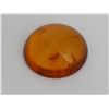 Image 1 : Natural Amber w/ Specimen
