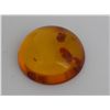 Image 1 : Natural Amber w/ Specimen