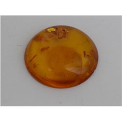 Natural Amber w/ Specimen