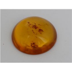 Natural Amber w/ Specimen