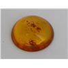 Image 1 : Natural Amber w/ Specimen