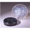 Image 1 : "Mesanges," a LALIQUE box,circa 1921, in topaz glass. Molded R. LALIQUE, engraved R. Lalique Fran…
