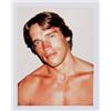 Image 1 : ANDY WARHOL (American, 1928-1987) ARNIE SCHWARTZENEGGER artist's blindstamp