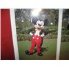 Image 2 : MICKEY MOUSE MICKY MOUSE DISNEYANA COLLECTIBLE POSTER