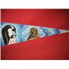 Image 4 : SEA WORLD PENNANT